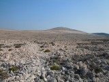 06. Pogled na vrh Sv.Vid